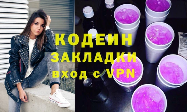 индика Верхний Тагил