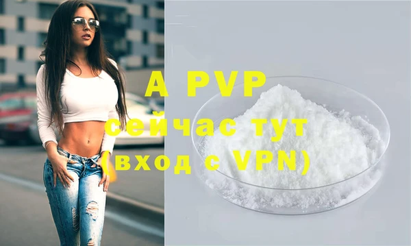индика Верхний Тагил