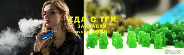 индика Верхний Тагил