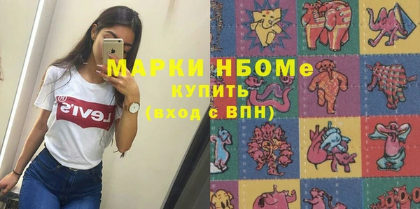 индика Верхний Тагил