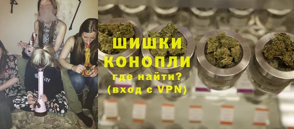 индика Верхний Тагил