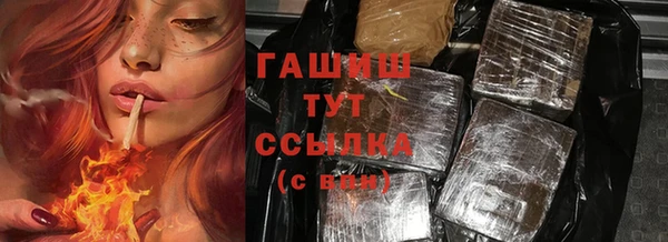 индика Верхний Тагил