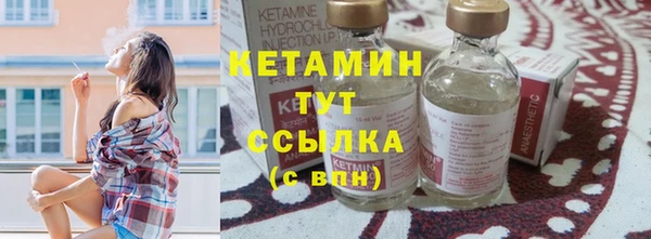 индика Верхний Тагил