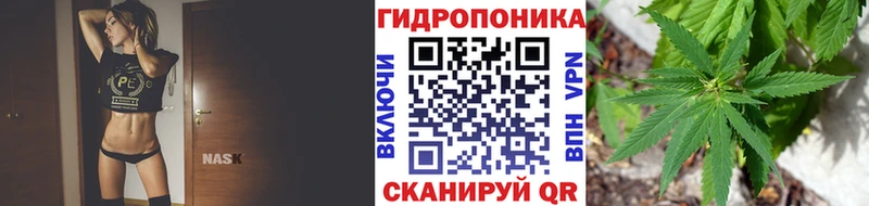 Канабис AK-47  Купить где  Лениногорск 